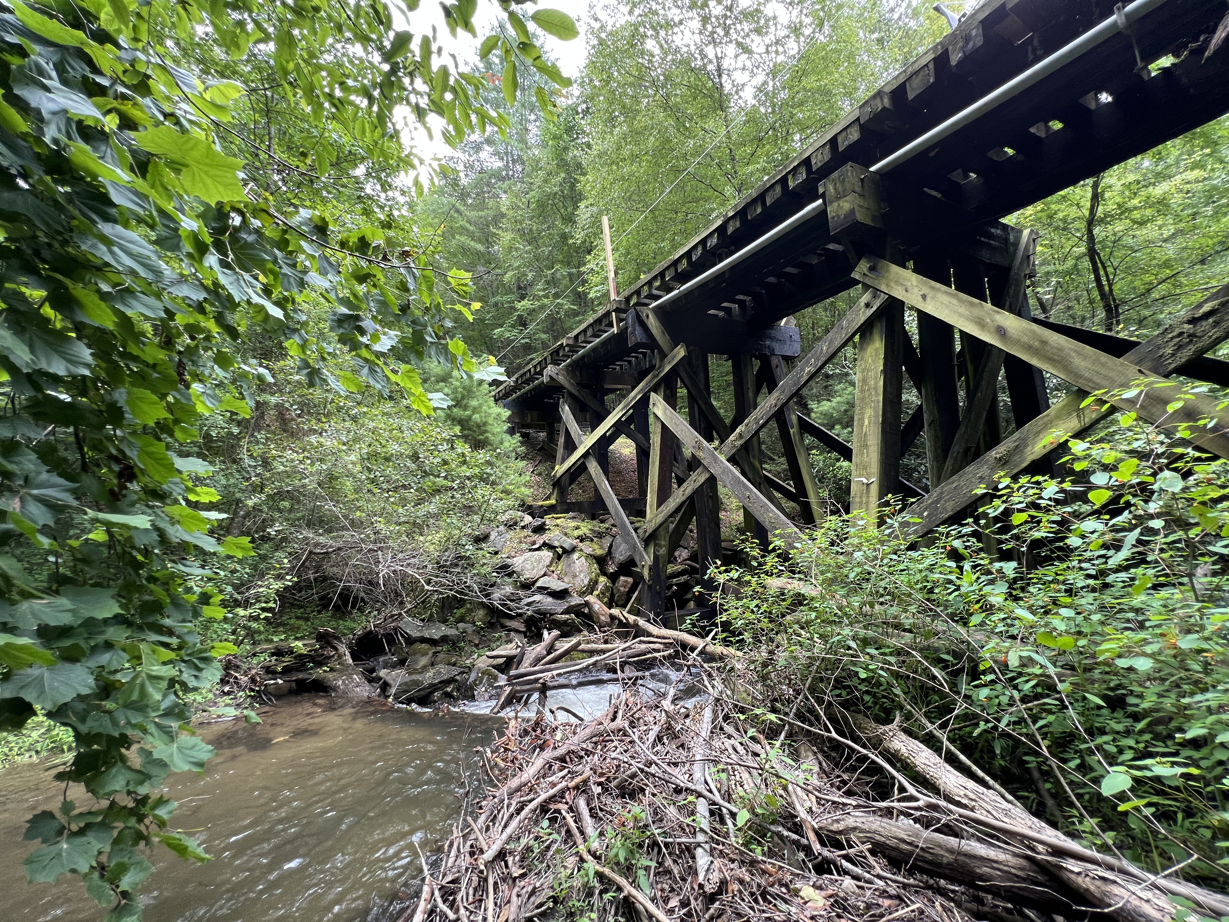 ./2023/11 - Asheville/IMG_9847.jpg